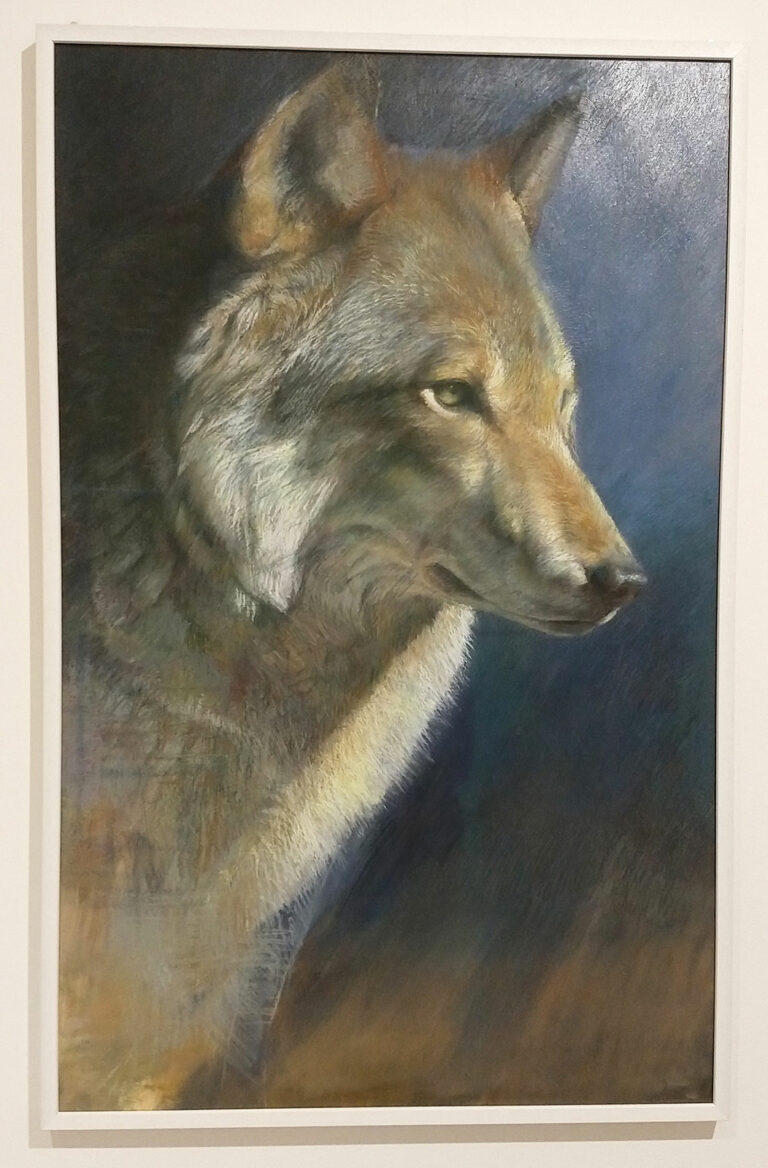 samueledrago