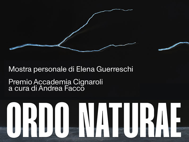 Scopri di più sull'articolo ORDO NATURAE – Mostra personale di Elena Guerreschi
