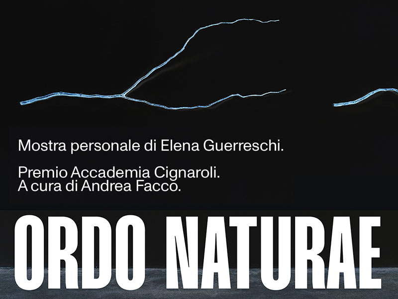 Scopri di più sull'articolo ORDO NATURAE – Mostra personale di Elena Guerreschi