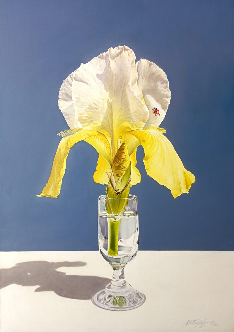 07_Tagliaferro, Profumo di tenerezza, 2024,olio tela, 35x50cm