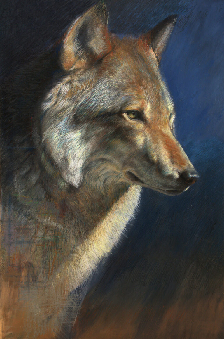 20_Drago Samuele_La virtù sconosciuta