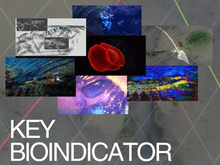 “KEY BIOINDICATOR” – L’impronta invisibile dell’uomo svelata tra arte e scienza